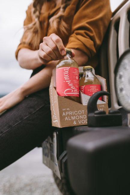 Apricot, Lemon & Vodka Sour