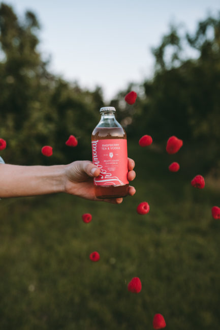 Raspberry, Tea & Vodka