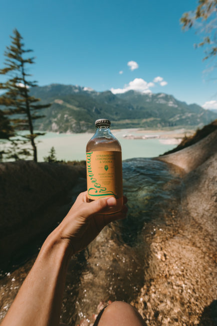 Strawberry, Lemongrass & Vodka